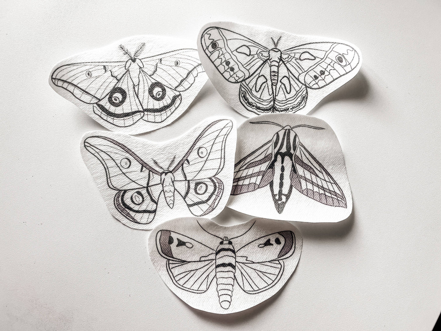 Moth Stick & Stitch Pack