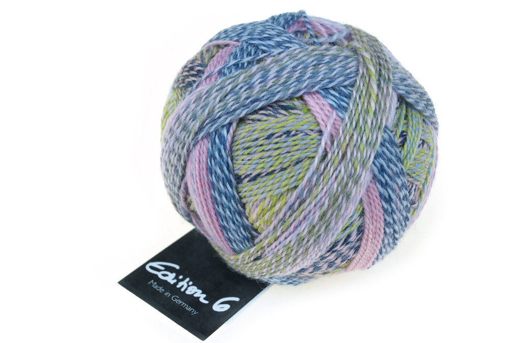 Schoppel Wolle - Edition 6, 2301