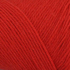 Wildfoote Sock Yarn, Persimmon