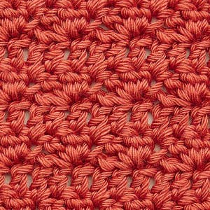 Crochet Stitch Dictionary by Penguin Random House LLC