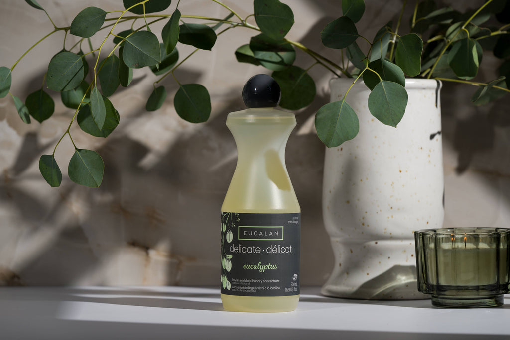 Jabón para prendas delicadas Eucalyptus, grande de Eucalan