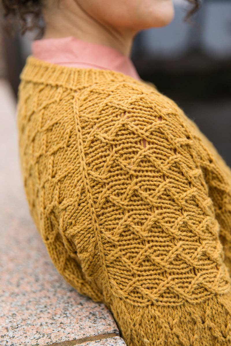 Entwined: Cables, Lace and Knitted Textures de Laine Publishing