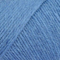 Wildfoote Sock Yarn, Peasant Blue