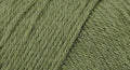 Estambre para calcetines Wildfoote, Saguaro Cactus