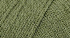 Wildfoote Sock Yarn, Saguaro Cactus