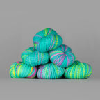 Spincycle - Dyed in the Wool, Last Splash