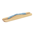 Belt Shuttle by Schacht