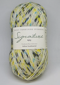 Estambre para calcetines Signature 4ply de West Yorkshire Spinners, Yellow Snow Tail
