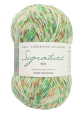 Estambre para calcetines Signature 4ply de West Yorkshire Spinners, Green Hairstreak