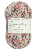 Estambre para calcetines Signature 4ply de West Yorkshire Spinners, Red Admiral