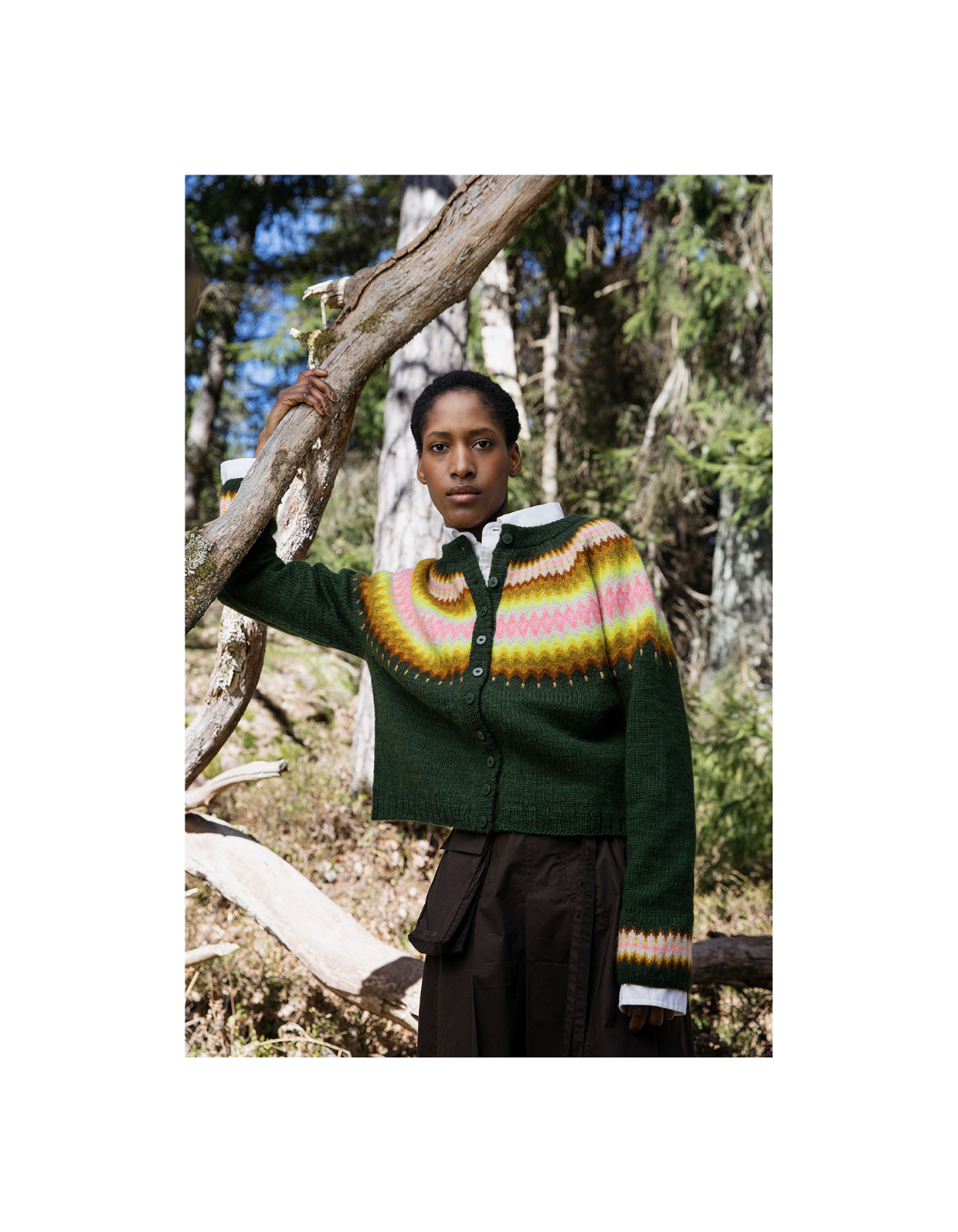 Laine Anniversary Issue: English / Magazine