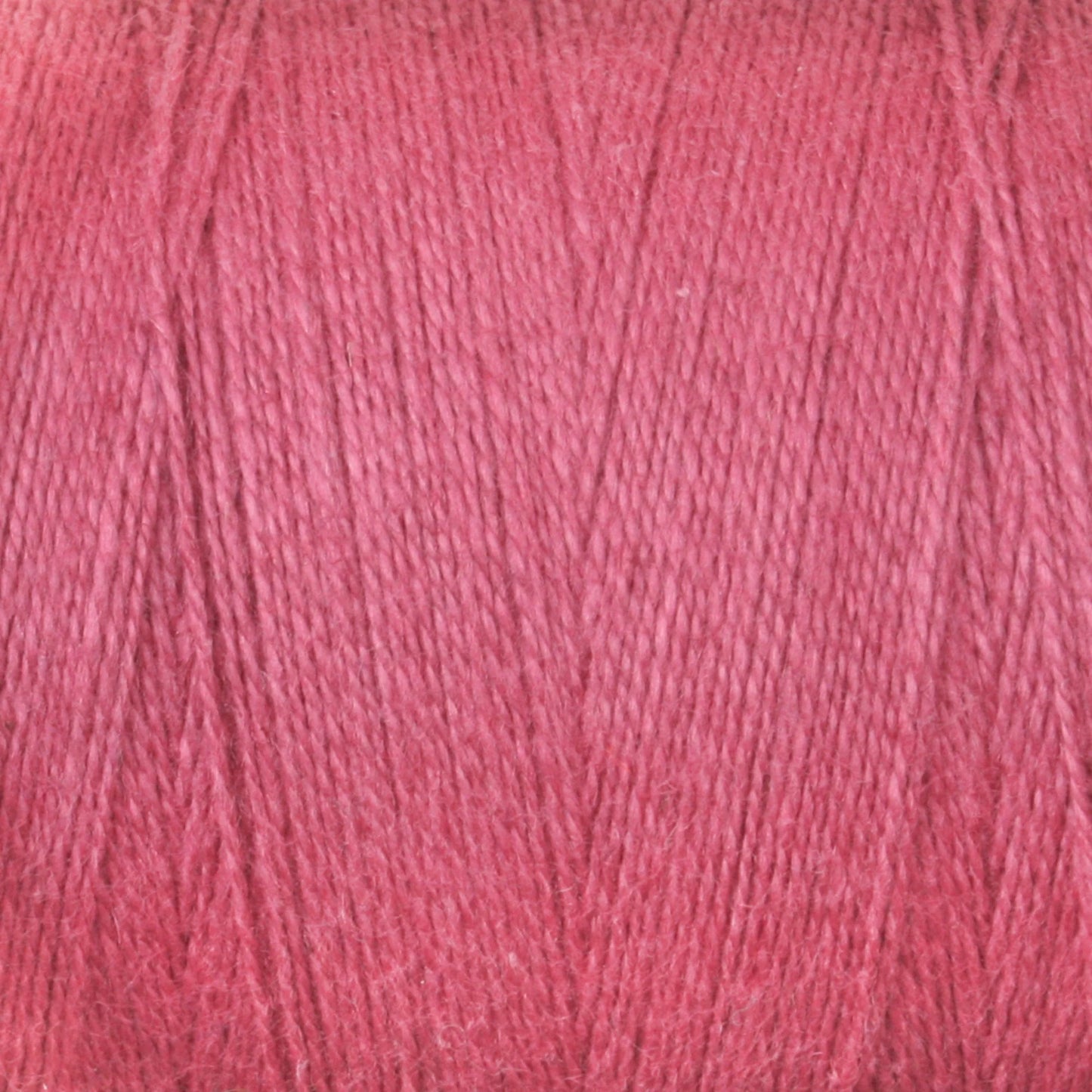 Cotolin 8/2 - Weaving Yarn