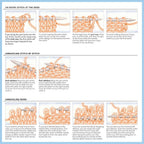 Vogue® Knitting The Ultimate Knitting Book de Mixed Media Resources LLC