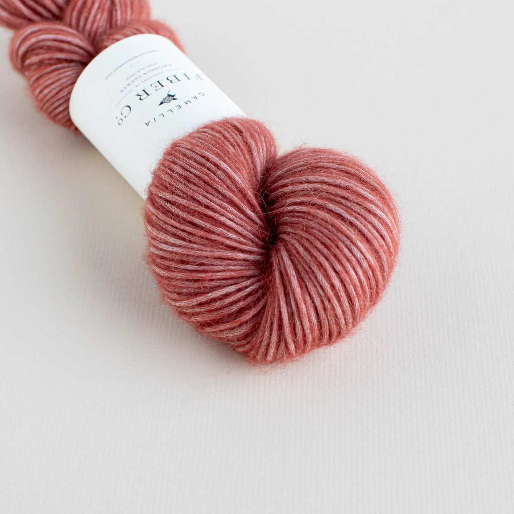 Camellia - Som DK, Garden Rose