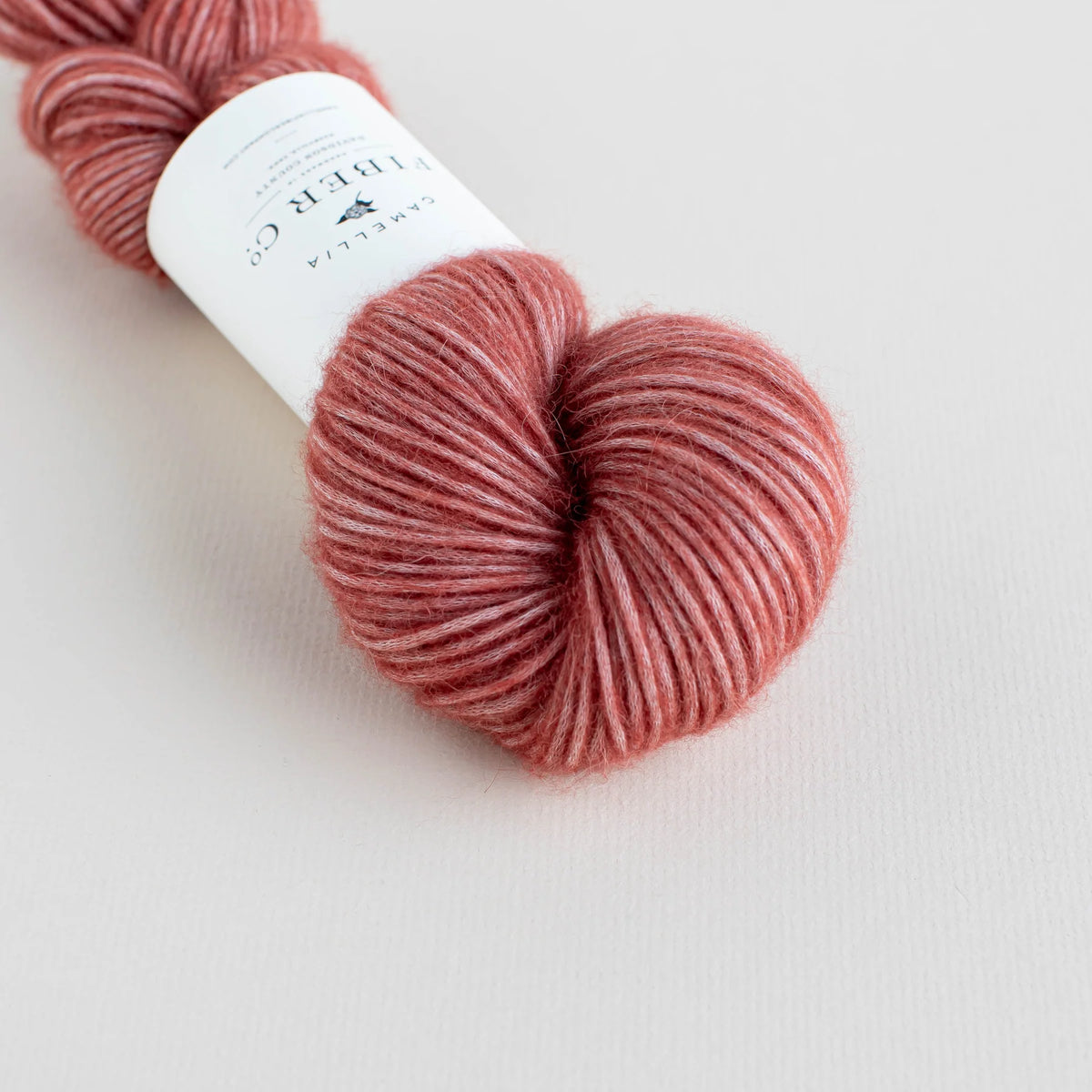 Camellia - Som DK, Garden Rose