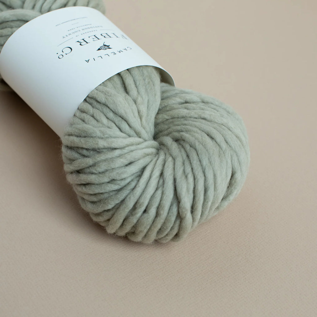 Camellia - Merino Chunky, Lichen