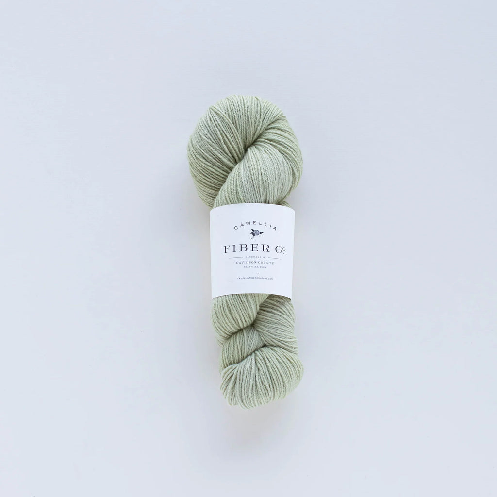 Camellia - Merino Fingering, Lichen