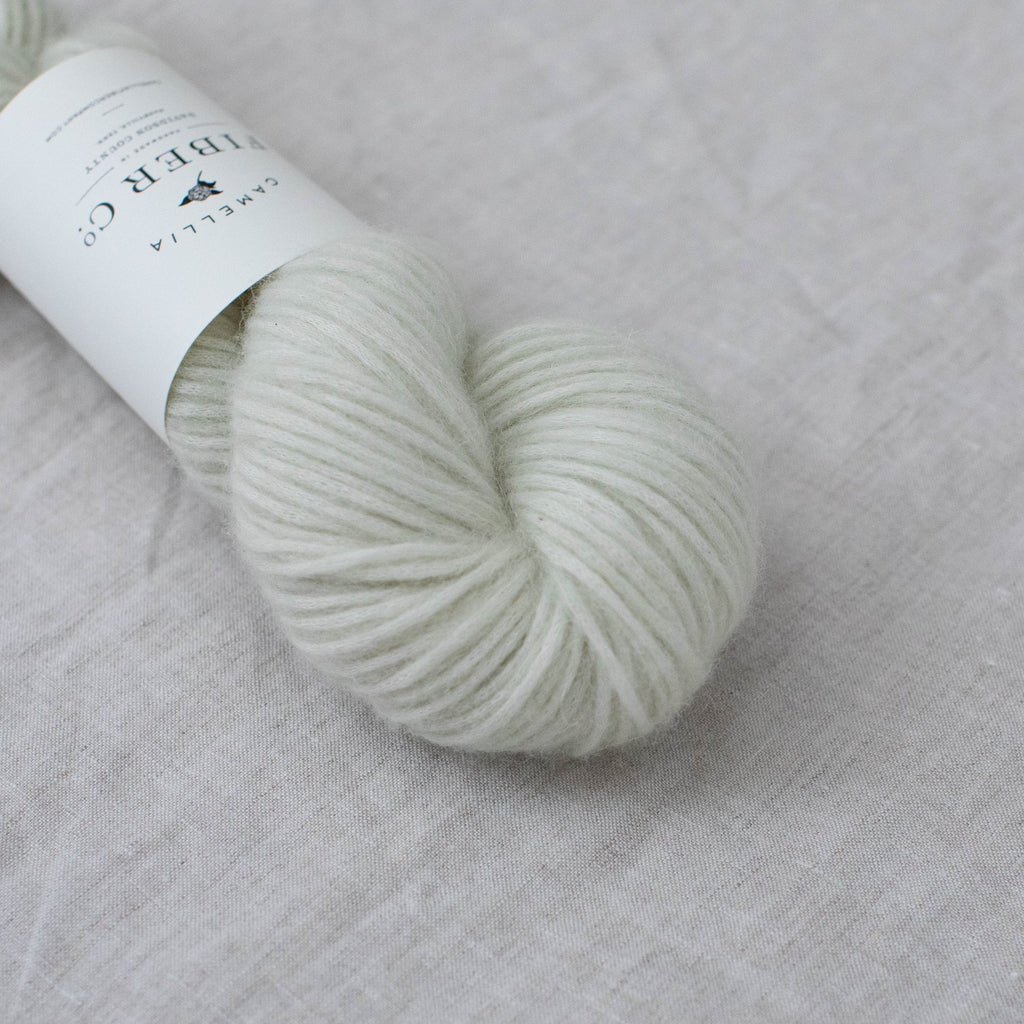 Camellia - Som DK, Lichen