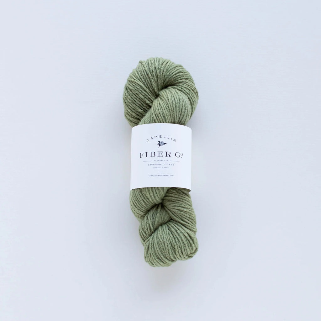 Camellia - Merino DK, Moss