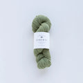 Camellia - Merino DK, Moss