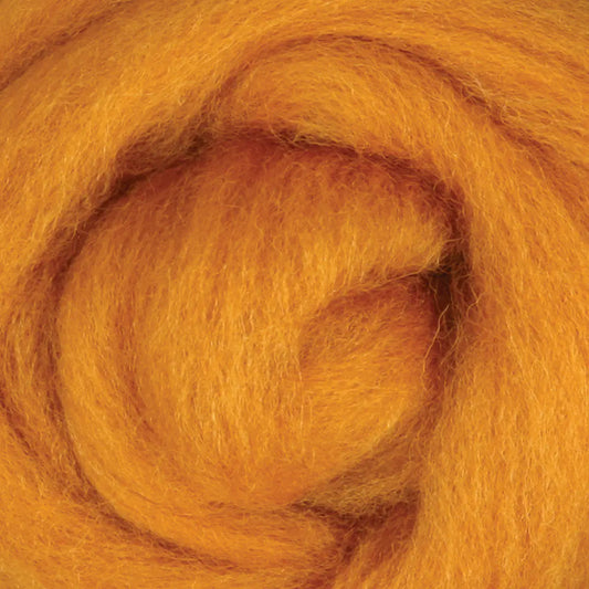 Ashford Dyed Sliver 100g