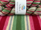 Turtlepurl Striped Turtle Toes, Sugar Plum Waltz