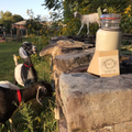 Tashas Own - Barra de jabón de leche de cabra