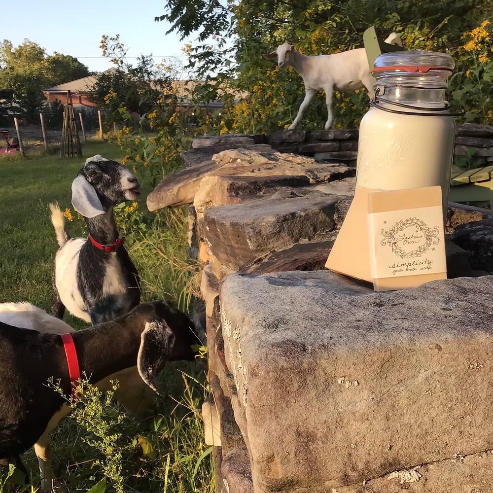 Tashas Own - Goat Milk Soap Bar