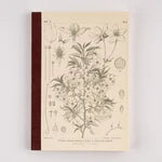 Cuaderno cuadriculado Hobonichi de Hightide USA